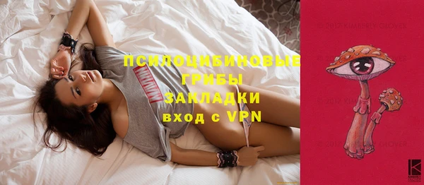 прущие грибы Приозерск