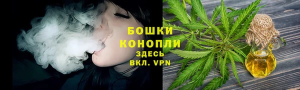 стаф Протвино