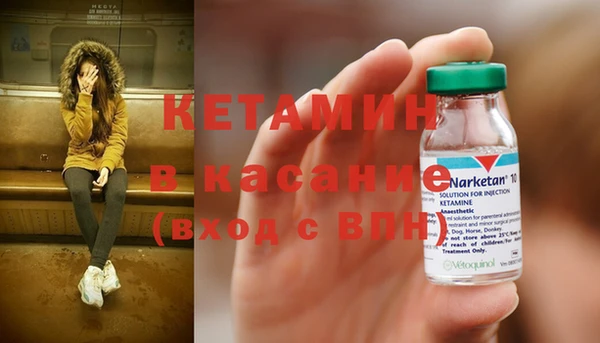 прущие грибы Приозерск