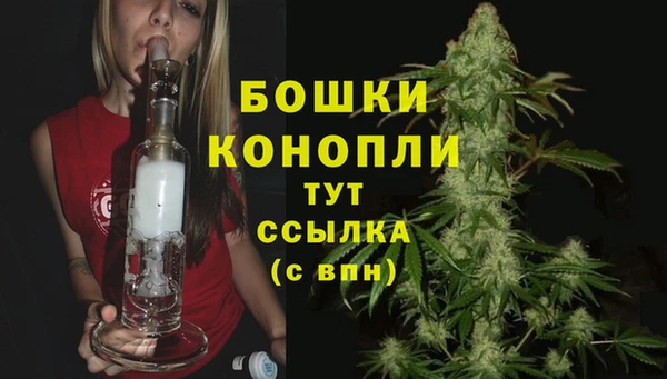 стаф Протвино