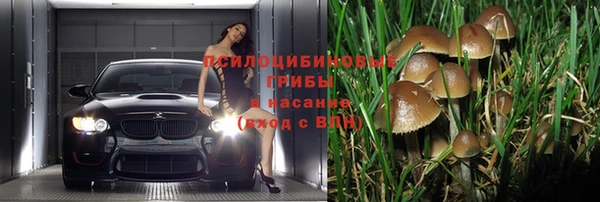 ALPHA PVP Пролетарск
