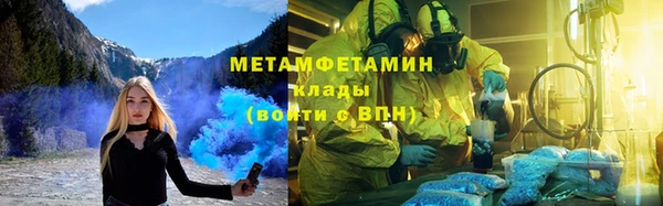 прущие грибы Приозерск